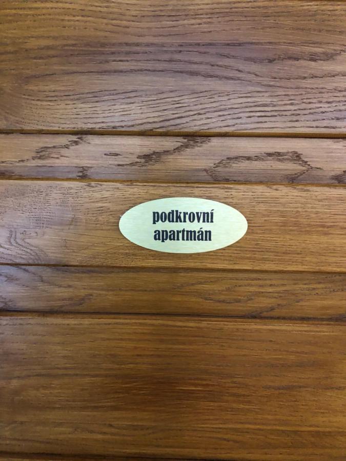 קרלובה סטודנקה Apartmany U Vleku - Podkrovni Apartman מראה חיצוני תמונה